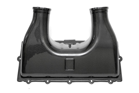 Fabspeed Ferrari 458 Italia Carbon Fiber Airbox Cover