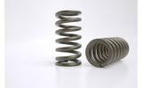 Kelford valve springs for BEAMS 3sge